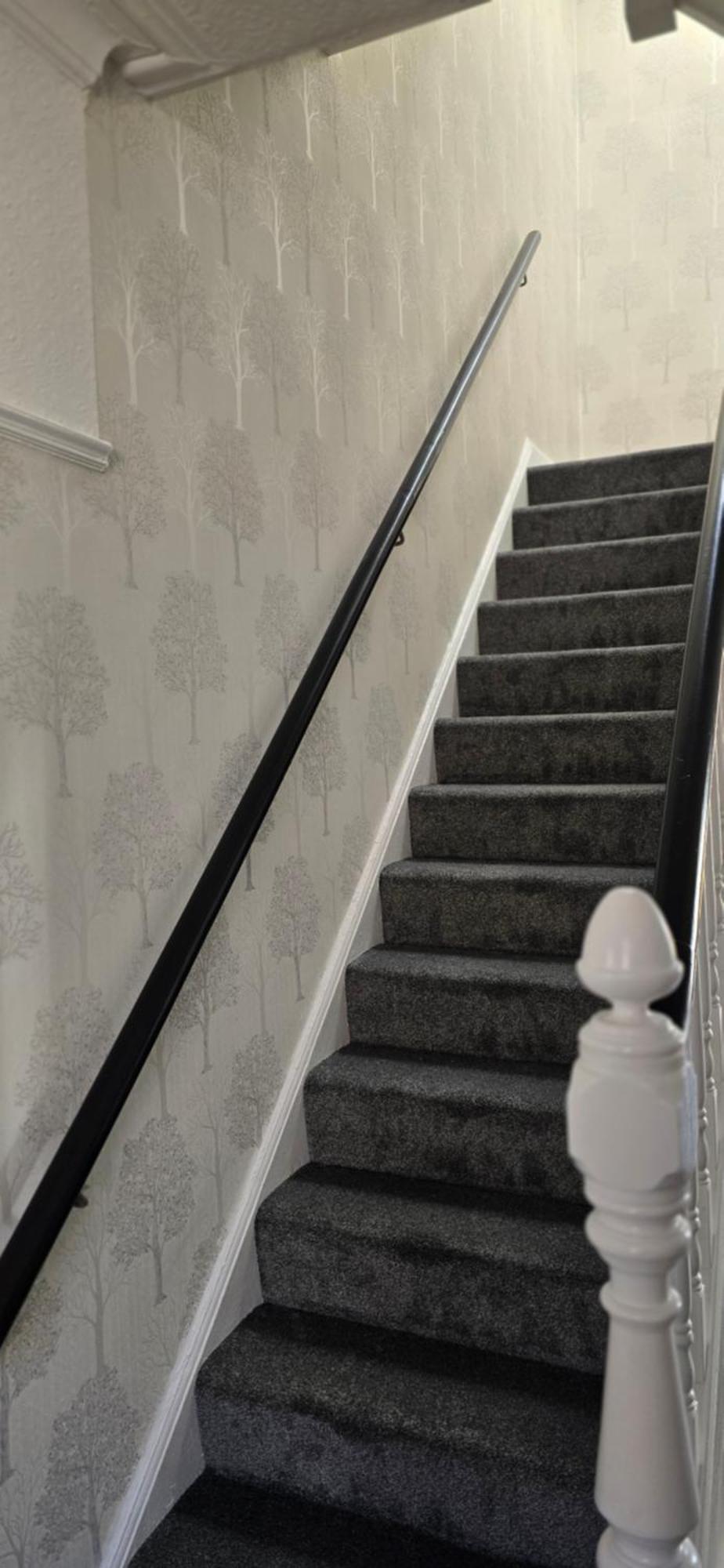 Apartamento Alexandra Park House Belfast Exterior foto